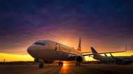 American airlines pilot praised for offering pizza to passengers