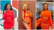 His name is Alpha: Michy announces she is expecting another boy with new baby bump photos