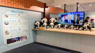 Pandas and Trump teach Hong Kong kids about national security crimes