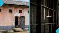 Prison system under fire after inmate escapes in fellow cellmate’s bag as he’s released