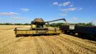 New customers: in occupied Ukraine, grain is sold to Russia