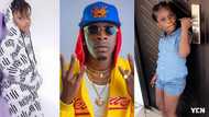 Shatta Berry all grown; warms hearts with beautiful performance in adorable video