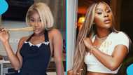 Fans dig up video of Efia Odo bragging about Eats Avenue: "She didn't learn her lessons"