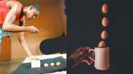 This is eggstraordinary - Peeps impressed by photographer's skills