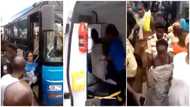 Massive crowd jubilates as pregnant lady delivers baby on a public bus; emotional video goes viral