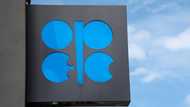 Opec+ plus to raise oil production by 137,000 barrels a day in November