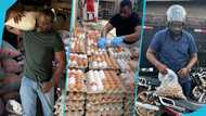 5 reasons why John Dumelo deserves the Deputy Minister for Food and Agriculture appointment