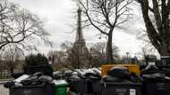 City of blight: Paris visitors alarmed at trash strike