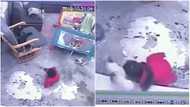 Cat saves baby from falling down a stairs at home while parents were away