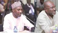 Minority Chief Whip Muntaka and Ken Agyapong fight in parliament (Video)