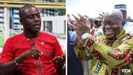 Captain Smart urges Ghanaians to make sure Akufo-Addo is the last old man to be president