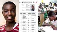 2023 NECO result: Smart boy gets A1's in English and Biology after scoring 282 in JAMB, rejoices