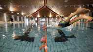 Small but powerful: tiny data centre heats UK swimming pool
