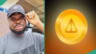 Notcoin: Man makes GH¢89.5K from trending crypto airdrop, generates huge buzz