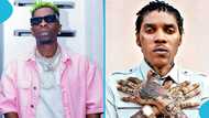 Shatta Wale: Vybz Kartel's crony acknowledges Ghana'a dancehall king on TV