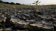 Climate change's fingerprints on ever hotter heatwaves
