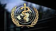 WHO pushes two Ebola treatments found to boost survival rates