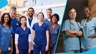 How qualified nurses can apply for jobs in Germany through official channels