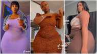 Plus-size lady with super curvy look shows off dance moves in TikTok videos, fans drool: "My babe"