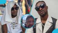 Archipalago resurfaces online for the first time in months amid speculation, videos stir reactions