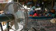 Heatwaves will make regions uninhabitable within decades: UN, Red Cross