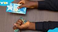 Bank of Ghana shares how you can replace torn cedi notes with fresh ones