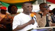 NPP looking for Buem MP-elect Kofi Adams to serve him injunction suit