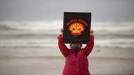 S.African court confirms Shell seismic exploration ban