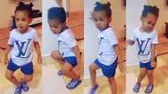 Little grandma: Strongman's 2-year-old daughter cracks ribs as she joins one legge dance challenge, does it perfectly like an adult