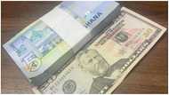 Cedi in free fall as $1 threatens to 'break GH¢10' at forex bureaux