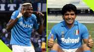 Osimhen and Maradona first four seasons at Napoli compared