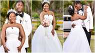 From primary school to ‘I do’: Lovers marry in gorgeous wedding; beautiful photos pop up