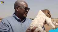Mahama reveals his plans for retirement, "I love farming"