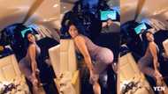 Heavy 'tundra' ladies go naked as they twerk for Cardi B in new 18+ video