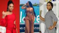 Shatta Michy snubs Shatta Wale's fans over her new bae; twins in Rolex with in romantic video