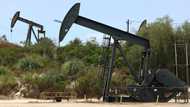 World will amass 'major' oil surplus by 2030: IEA
