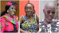 Wife of Harruna Attah & sister of Nana Konadu Agyeman-Rawlings dies at 62