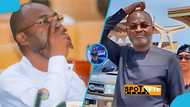 Kennedy Agyapong's KenCity Media loses top media personality, details emerge