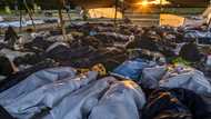 'Not coping': Crisis at overcrowded Dutch asylum centre