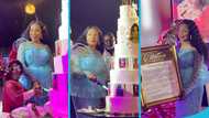 Maame Dokono celebrates 80th birthday with party and book launch, Ghanaian celebs attend: video