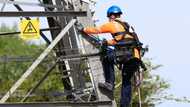 High-flying young electricians wire UK energy switch