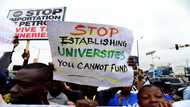 Nigerian university lecturers end eight-month strike over pay