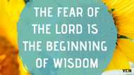 The fear of the Lord is the beginning of wisdom - proverb, bible verse, meaning and sermon