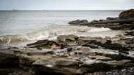 Raw sewage blights once-idyllic beaches on Isle of Wight