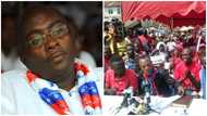"It’s not by force, we don’t like Bawumia" – NPP delegates tell pro-Bawumia MPs