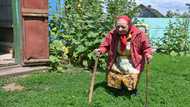 In Ukraine, war raises spectre of devastating Stalin-era famine