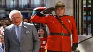 Bin Laden family donated £1m to Prince Charles charity: report
