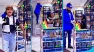 Agradaa's daughter Rihanna joyfully sings Blacko's song while feeding birds with Angel Asiamah