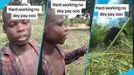 Ghanaian man shows vast land he weeded in one day, says hard work does not bring success