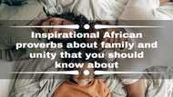 50+ inspirational African proverbs about family and unity that you should know about